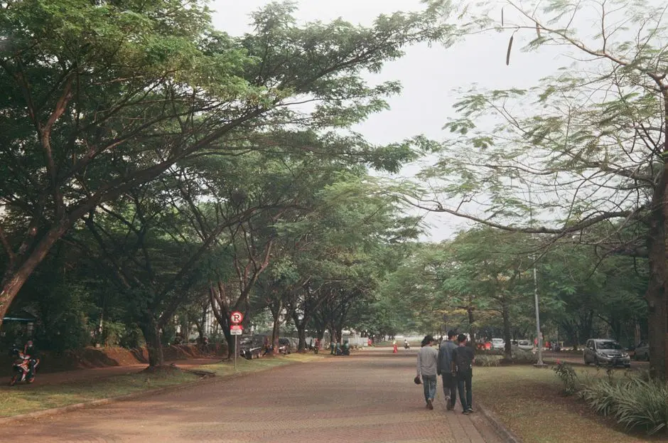 Suasana taman kota yang sederhana untuk berjalan santai